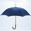 Custom Collapsible Umbrella