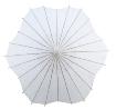 Custom Paper Parasol