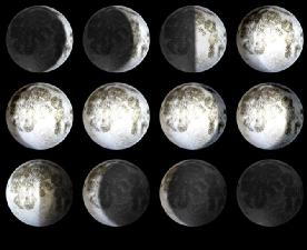 Moon In My Room wholesale, custom printed logo
